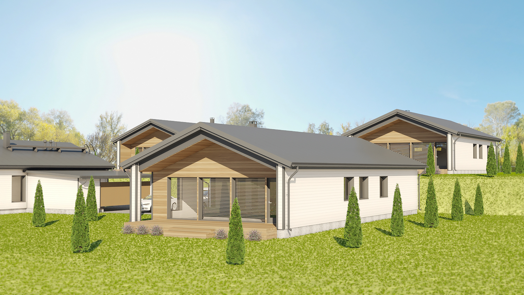 Portfolio Image