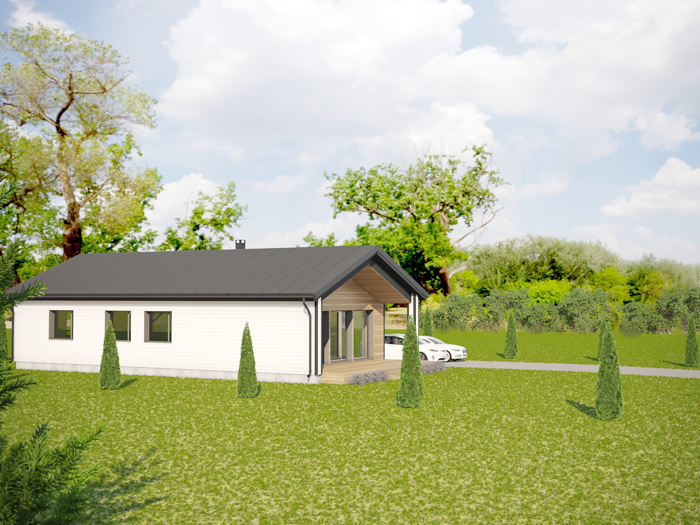 Portfolio Image