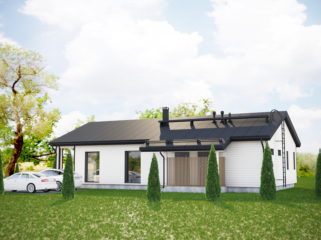 Portfolio Image
